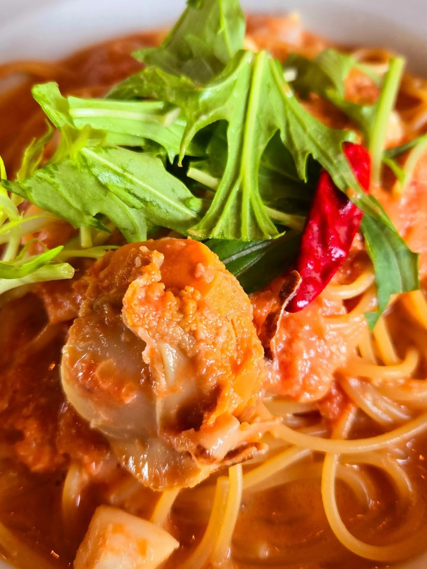 @pasta_pizza501 3